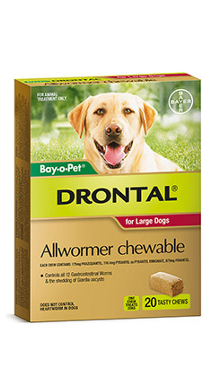 Drontal All-Wormer For Large Dogs To 35kg - 2 Chews