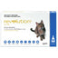 Revolution Cat Blue 6pk
