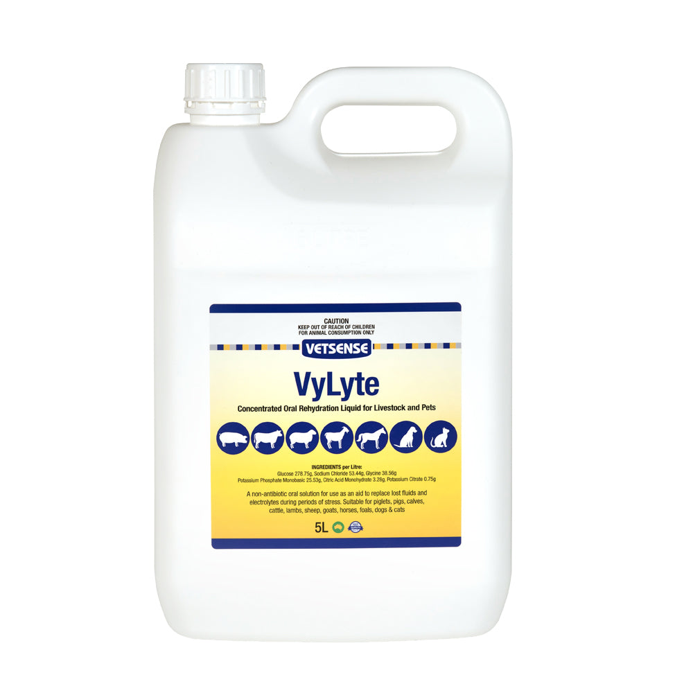 Vetsense VyLyte Concentrated Oral Rehydration Liquid for Livestock & Pets 5L