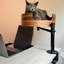 Desk Nest Cat Bed - The Purrfect Cat Bed for Your Desk - Walnut