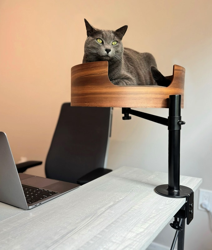 Desk Nest Cat Bed - The Purrfect Cat Bed for Your Desk - Walnut