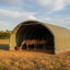 rounded livestock tent ensclosure for horses to stand under. metal frame that attachs to an un-suppleid farm fence