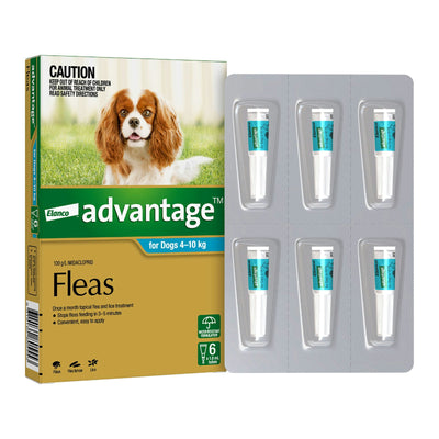 Advantage For Dogs 4-10kg 6 Pack